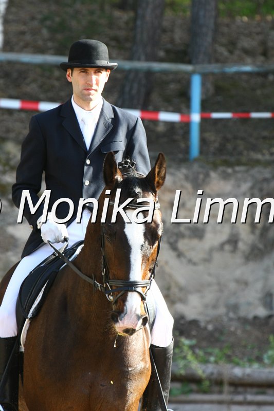 204M7569_Pretty Dancer_Dressur_L.JPG